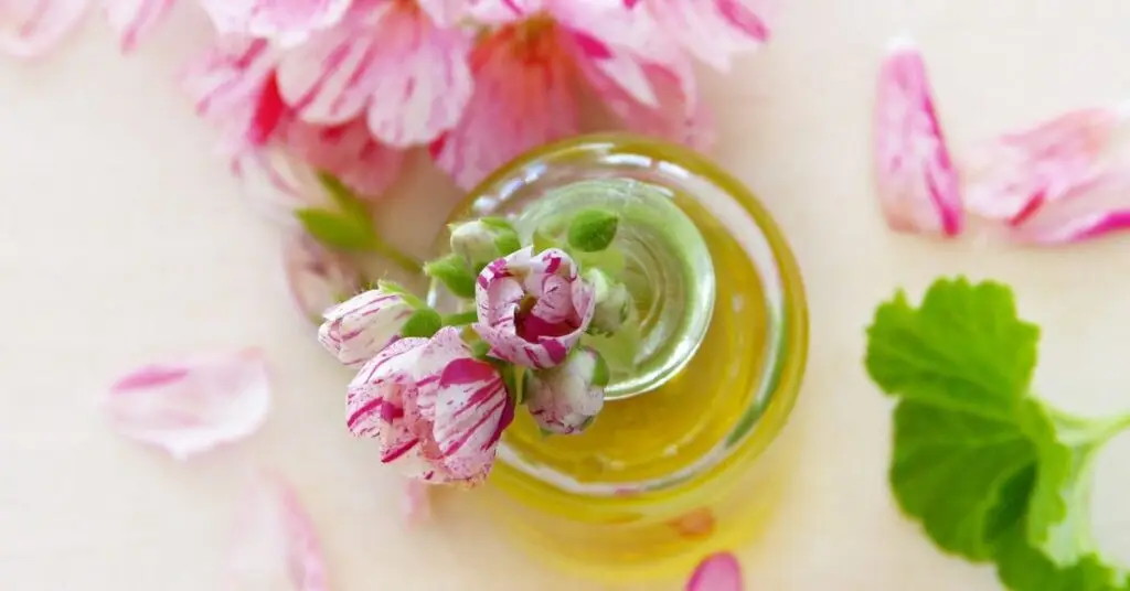 The Wellhealthorganic.com Guide to Luminous Skin with Nature's Best