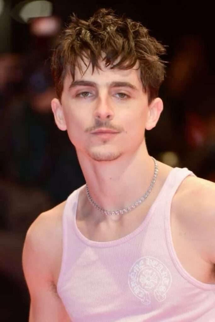 Timothée Chalamet 